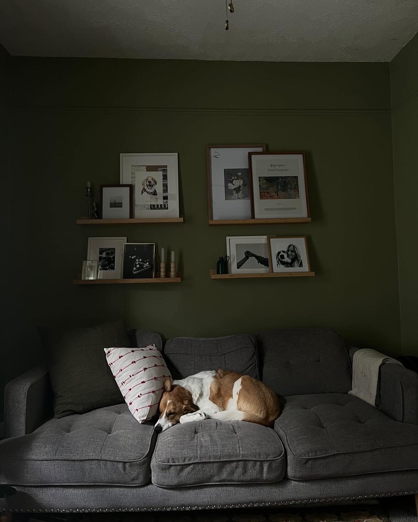 Original Watercolor Pet Portrait