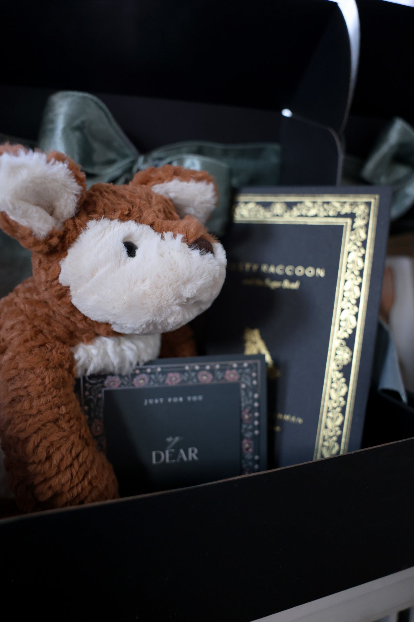 Book Buddy Gift Box