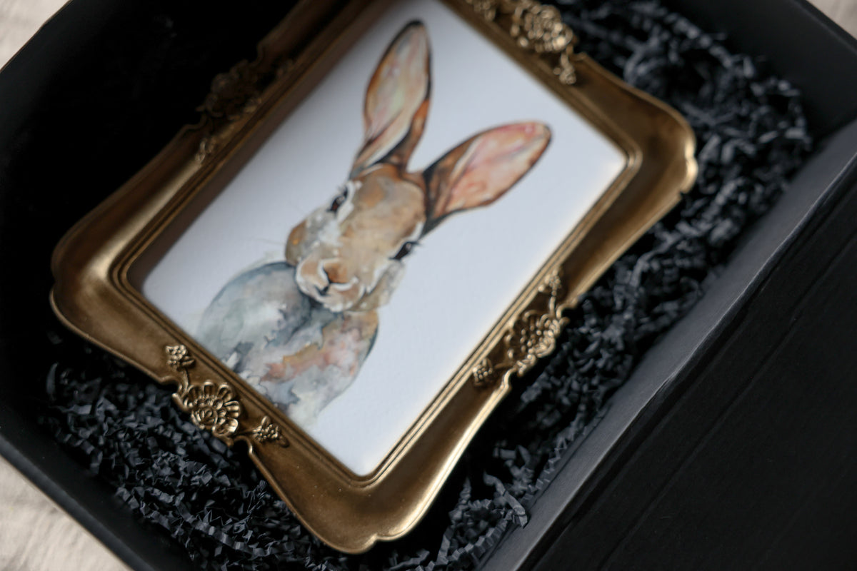 Gift Box | Book + Framed Print