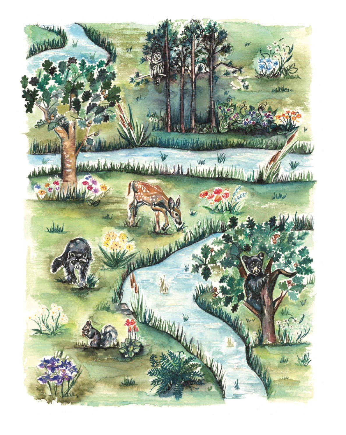 forest scene from Rusty Raccoon and the Sugar Bowl