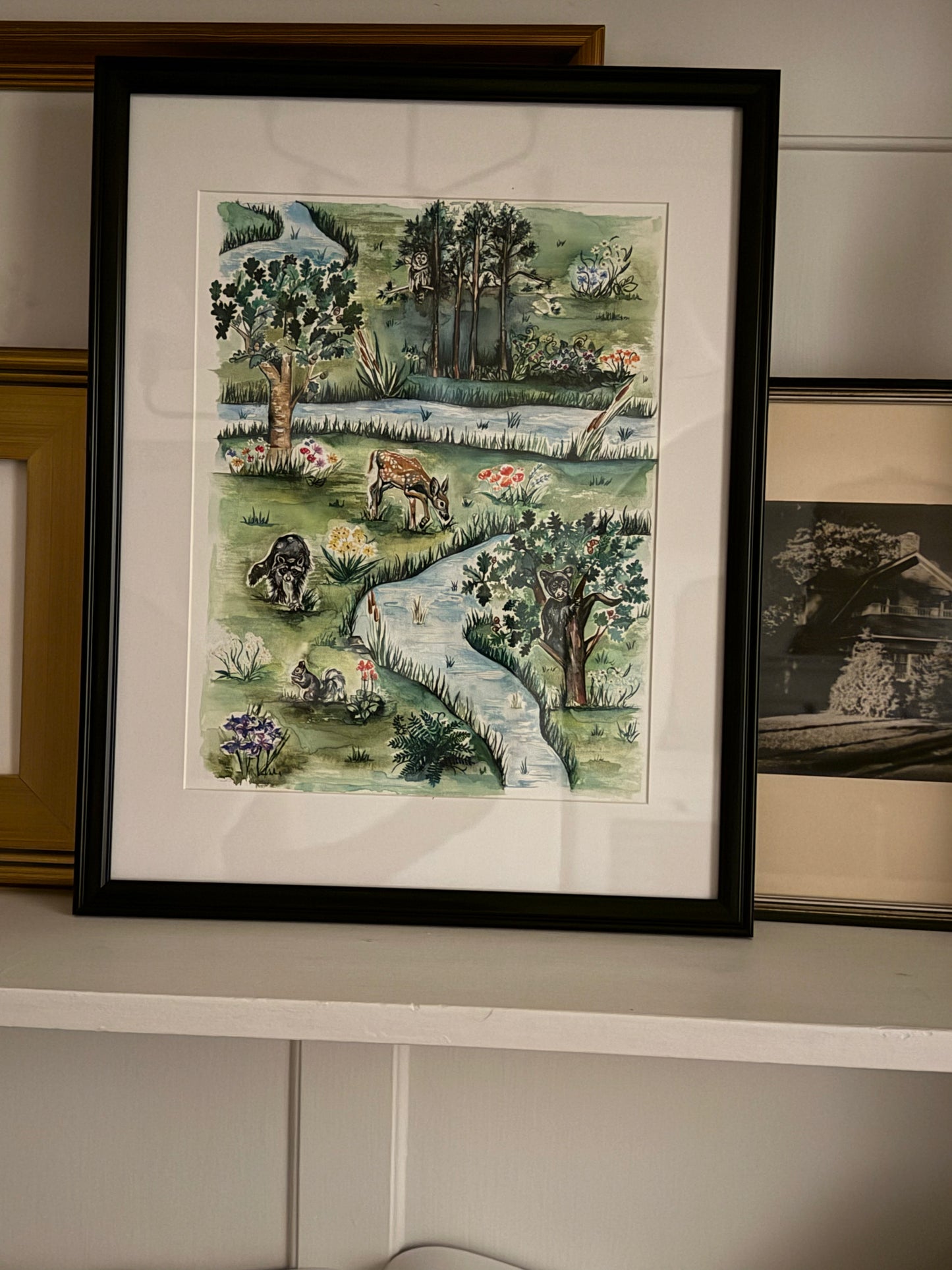 framed print of a forest scene from rusty raccoon